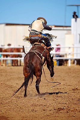 포토 JPG 해외이미지 주간 전신 한마리 남자 한명 앉기 성인 야외 아웃포커스 말_동물 승마 카우보이 카우보이모자 한병 카우보이복장 성인남자한명만 해외포토 자연요소 모자_잡화 1 옷 스포츠 포유류 모션 촬영기법 사람 병_담는 남자한명만 성인남자만 파일형식 이미지허브
