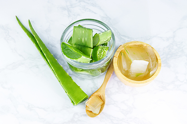 포토 JPG 해외이미지 조각 유리 사람없음 숟가락 피부관리 흰배경 슬라이스 알로에 알로에베라 해외포토 식물 백그라운드 재질 수저 뷰티 흰색 파일형식 이미지허브