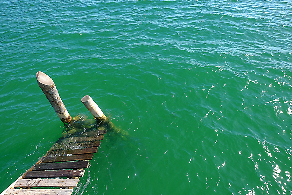 포토 JPG 해외이미지 모래 파도 바다 섬 여행 백그라운드 자연 하늘 아침 휴가 풍경 사람없음 야외 목재 물 여름 파란색 빛 태양 반사 항구 침묵 일몰 만 휴양지 방파제 터키석 파라다이스 해외포토 주간 자연요소 나무 계절 공공시설 컬러 재료 교통시설 노을 소리 장소 보석 생태계 파일형식 이미지허브