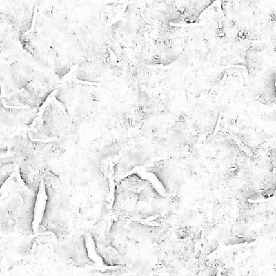 포토 JPG 해외이미지 문화 과학 백그라운드 농업 세포 건강 현미경 사람없음 빛 약 검은색 회색 성장 흰색 원형 실험실 닫기 질병 미끄럼틀 아래 질감 생물학 미생물 암 박테리아 알레르기 곰팡이 식민지 위생관리 해외포토 도형 교육 산업 컬러 의학 모션 생물 실험기구 실험 관리 놀이기구 방향 위치 파일형식 이미지허브