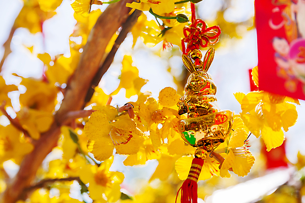 포토 JPG 해외이미지 전통 아시아 문화 밧줄 새해 사람없음 장식 일본 중국 달 축하 토끼 행운 황금 보호 심볼 캄보디아 신앙심 해외포토 자연요소 나라 줄 컨셉 포유류 반려동물 파일형식 이미지허브