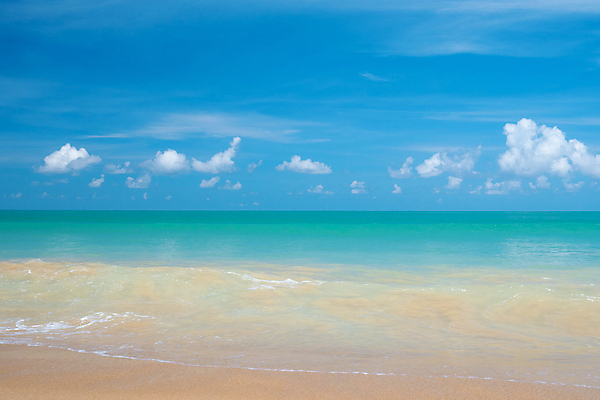 포토 JPG 해외이미지 나무 구름 모래 바다 여행 백그라운드 태국 자연 하늘 휴가 조개 휴식 풍경 사람없음 야외 초록색 물 여름 파란색 흰색 서핑 상쾌 해외포토 자연요소 식물 계절 감정 아시아 컬러 컨셉 어패류 수상스포츠 생태계 파일형식 이미지허브