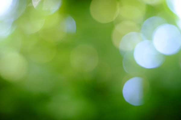 포토 JPG 해외이미지 디자인 백그라운드 생각 패턴 전구 아침 추상 사람없음 장식 초록색 빛 반짝임 컬러풀 거품 손전등 신선 점 원형 소프트포커스 질감 보케 강렬 블러 그리너리 효과 해외포토 주간 도형 컬러 무늬 모션 조명 촬영기법 파일형식 트랜드컬러 이미지허브