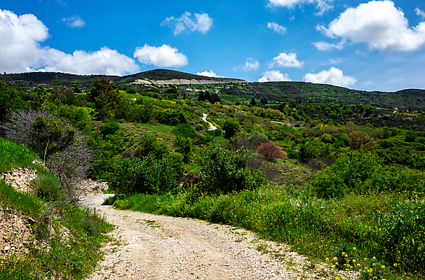포토 JPG 해외이미지 나무 식물 공원 유럽 바다 여행 백그라운드 자연 하늘 아침 산 안테나 파노라마 풍경 경사 사람없음 목재 초록색 여름 파란색 환경 계곡 맑음 시골 정상 숲 열대우림 땅 언덕 속도 장면 멀리 산악지대 아마존 완벽 절정 해외포토 주간 계절 공공시설 나라 컬러 컨셉 재료 통신 날씨 촬영기법 생태계 파일형식 이미지허브