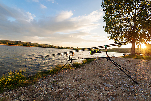 포토 JPG 해외이미지 계절 호수 스포츠 장신구 낚시 휴가 휴식 어류 어업 취미 사람없음 야외 빛 햇빛 태양 일출 맑음 고요 일몰 장비 잡기 결심 사냥 열정 낚시꾼 주말 반대 기어 잉어 꼬투리 인내 해외포토 자연요소 감정 산업 컨셉 모션 레저 날씨 노을 수중동물 파일형식 이미지허브