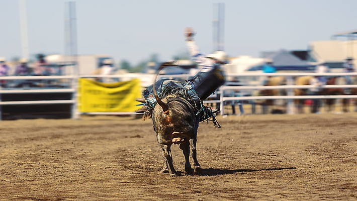 포토 JPG 해외이미지 동물 남자 밧줄 스포츠 포즈 백그라운드 모션 자연 뿔 이벤트 성인 사람없음 야외 달리기 달러 경쟁 경기장 목장 공연 운전 청바지 시골 거친 소 카우보이 호주 승차 위험 속도 황소 먼지 로데오 라이더 블러 서쪽 해외포토 줄 컨셉 돈 바지 포유류 스포츠시설 사람 오세아니아 방향 생태계 파일형식 이미지허브