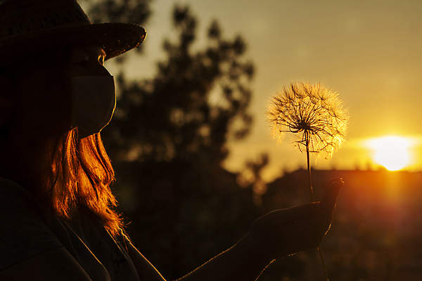 포토 JPG 해외이미지 식물 꽃 실루엣 백그라운드 밭 자연 하늘 한명 빨간색 세트 햇빛 태양 약 건강관리 환경 일몰 봄 자유 행운 수분 민들레 환경보전 꽃가루 부드러움 개성 소원 내추럴 알레르기 예방접종 카피스페이스 해외포토 자연요소 1 계절 컬러 컨셉 농업 의학 촬영기법 건강 관리 사람 노을 공백 감각 질병 가루 사회이슈 생태계 접종 파일형식 이미지허브