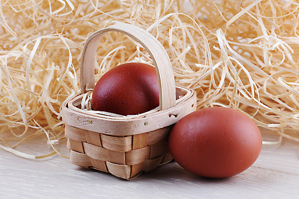 포토 JPG 해외이미지 동물 전통 디자인 계절 행복 음식 백그라운드 컨셉 2 재료 자연 탁자 휴가 부활절 건강 요리 사람없음 목재 장식 초록색 농장 갈색 바구니 우주 계란 치킨 봄 회색 수확 껍질 흰색 시골 축하 신선 둥지 볏짚 아침식사 작음 오브젝트 유기농 날것 밀짚 내추럴 단백질 생식 해외포토 나무 웰빙 기념일 감정 컬러 가구 농업 알 식사 짚 크기 생태계 닭고기요리 영양소 파일형식 이미지허브