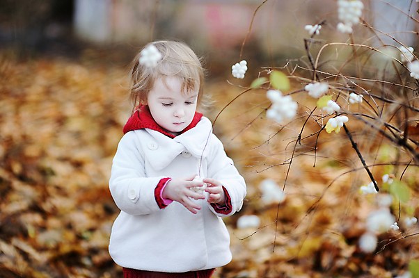 포토 JPG 해외이미지 백인 계절 공원 딸 행복 어린이 잎 자연 놀이 친절 건강 사랑 한명 야외 빨간색 초록색 컬러풀 노란색 희망 재킷 가을 청바지 아기 달콤 작음 9월 11월 만족 10월 걸음마 스타일 해외포토 서양인 식물 1 공공시설 감정 컬러 바지 가족 모션 사람 외투 날짜 맛 크기 생태계 파일형식 이미지허브