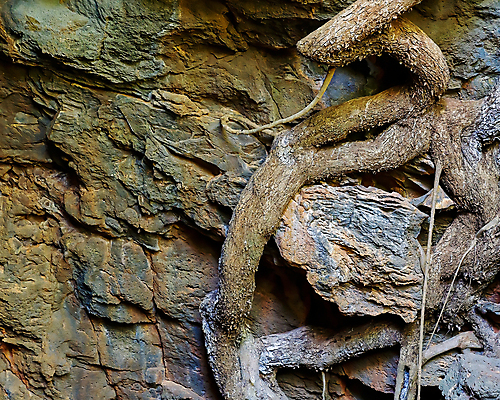 포토 JPG 해외이미지 식물 여행 가이드 사람없음 내부 여행객 환경 흐름 탐험 껍질 역사 동굴 호주 폭발 생태계 아치 화산 용암 튜브 북쪽 멸종 탐사 발견 사바나 오지 지질학 특별함 현무암 화강암 해외포토 직업 교육 컨셉 산 사람 암석 오세아니아 방향 화산암 파일형식 이미지허브
