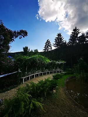 포토 JPG 해외이미지 나무 식물 구름 길 얼굴 여행 백그라운드 밭 가족 자연 하늘 거리 주택 손바닥 서기 사람 사람없음 야외 건물 옆모습 초록색 물 파란색 강 야자수 사무실 정원 기차 승차 숲 큼 언덕 사인 먼지 고립 선로 해외포토 자연요소 건축물 손 육상교통 뷰포인트 컬러 농업 비즈니스 관계 모션 대중교통 신체부위 크기 생태계 파일형식 이미지허브