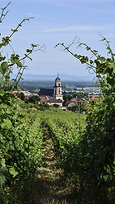 포토 JPG 해외이미지 나무 식물 유럽 선 여행 밭 농업 과일 건축양식 자연 하늘 포도 주택 풍경 사람없음 건물 초록색 농장 교회 마을 탑 와인 계곡 수확 성장 시골 중세 역사 땅 언덕 포도밭 포도나무 땅바닥 양조장 옛날 줄서기 해외포토 건축물 건축 나라 산업 컬러 종교건축 모션 바닥 주류 과일나무 생태계 파일형식 이미지허브