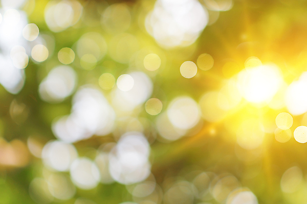 포토 JPG 해외이미지 모양 나무 식물 디자인 계절 백그라운드 컨셉 잎 패턴 자연 추상 새로움 미술 사람없음 야외 초록색 여름 빛 컬러풀 햇빛 태양 노란색 환경 정원 맑음 봄 성장 흰색 신선 소프트포커스 숲 질감 보케 부드러움 내추럴 블러 해외포토 자연요소 컬러 무늬 날씨 문화예술 촬영기법 감각 생태계 파일형식 이미지허브