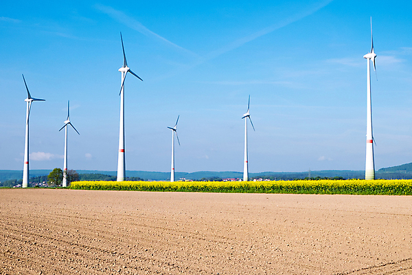 포토 JPG 해외이미지 나무 농업 자연 바람 사람없음 글로벌 농장 환경 힘 풍차 에너지 바퀴 엔진 온실 효과 해외포토 자연요소 식물 산업 날씨 생태계 파일형식 이미지허브