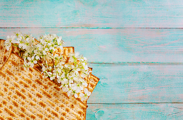 포토 JPG 해외이미지 접시 종교 휴가 기념 이집트 사람없음 축제 봄 수확 기도 축하 의식 심볼 복고 유대인 신앙심 예루살렘 유월절 유태교 이스라엘 해외포토 식기 계절 컨셉 농업 아프리카 서아시아 파일형식 이미지허브