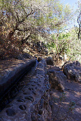 포토 JPG 해외이미지 나무 공원 유럽 섬 여행 백그라운드 아프리카 자연 풍경 사람없음 야외 물 환경 스페인 숲 내추럴 옛날 해외포토 자연요소 식물 공공시설 나라 생태계 파일형식 이미지허브