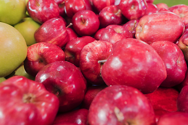 포토 JPG 해외이미지 잡화 음식 백그라운드 패턴 농업 다이어트 과일 자연 건강 사람없음 야외 빨간색 농작물 농장 쌓기 상점 수확 신선 그룹 시장 달콤 맛 사과 큼 과수원 자르기 먹기 상쾌 유기농 날것 흙더미 내추럴 숙성 식욕 채식주의자 많음 해외포토 웰빙 감정 산업 컬러 컨셉 무늬 모션 흙 크기 생태계 채식 파일형식 더미 이미지허브