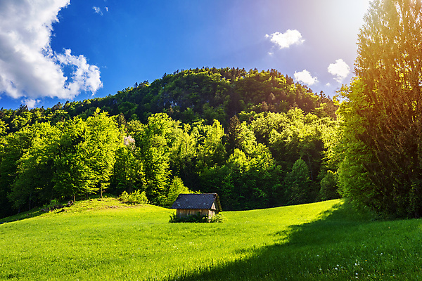 포토 JPG 해외이미지 나무 공원 길 여행 백그라운드 자연 하늘 산 주택 풍경 경사 사람없음 야외 건물 목재 초록색 여름 빛 햇빛 평화 마을 환경 하이킹 시골 황무지 숲 버리기 시골집 통나무 마법 탐사 고립 옛날 혼자 해외포토 식물 건축물 계절 공공시설 컬러 컨셉 재료 모션 레저 태양 생태계 파일형식 이미지허브