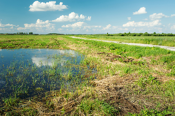 포토 JPG 해외이미지 구름 계절 도로 백그라운드 밭 자연 하늘 날씨 풍경 사람없음 야외 초록색 물 여름 파란색 농경지 환경 봄 젖음 시골 연못 땅 홍수 웅덩이 내추럴 땅바닥 수평선 해외포토 자연요소 길 컬러 농업 교통시설 바닥 농장 자연재해 생태계 파일형식 이미지허브