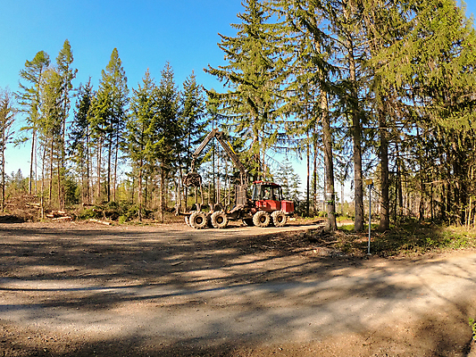 포토 JPG 해외이미지 나무 산업 도로 백그라운드 공장 자연 풍경 사람없음 야외 목재 쌓기 환경 가을 나뭇가지 소나무 업무 널 숲 장작 자르기 수집 목수 날것 통나무 수납 자원 잡동사니 흙더미 내추럴 벌목 수목 해외포토 식물 직업 계절 길 재료 공업 교통시설 모션 흙 작업 생태계 파일형식 더미 이미지허브