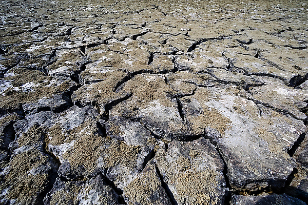 포토 JPG 해외이미지 계절 지구 호수 모래 백그라운드 패턴 자연 표면 날씨 건조 풍경 사람없음 물 여름 글로벌 갈색 환경 흙 손상 사막 슬픔 죽음 뜨거움 거친 변화 균열 댐 땅 부식 질감 먼지 충격 가뭄 지구온난화 내추럴 기후변화 깨짐 땅바닥 생태학 위기 재앙 해외포토 자연요소 공공시설 교육 감정 컬러 컨셉 무늬 모션 바닥 생태계 파일형식 이미지허브