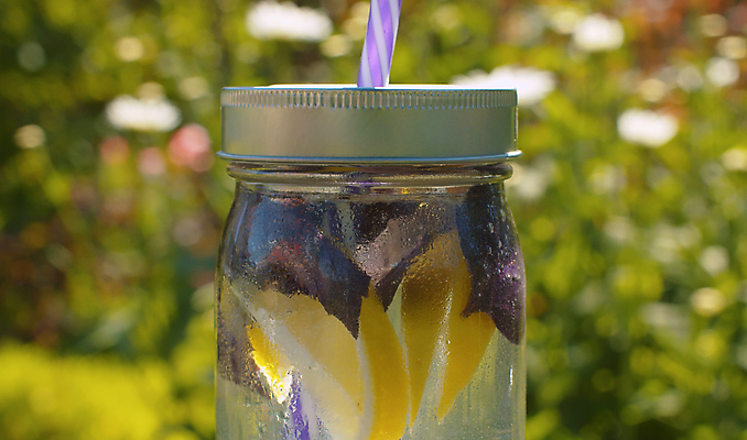 포토 JPG 해외이미지 라이프스타일 음료 백그라운드 과일 자연 유리 건강 사람없음 야외 물 여름 정원 얼음 머그컵 추위 물방울 신선 닫기 맛 소프트포커스 시원함 레몬 레모네이드 상쾌 유기농 바질 밀짚 내추럴 핸드메이드 해외포토 자연요소 웰빙 계절 감정 컨셉 모션 재질 촬영기법 생활 컵 짚 생태계 에이드 파일형식 이미지허브