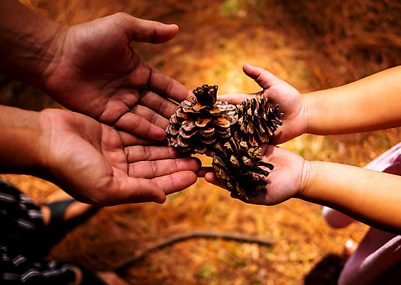 포토 JPG 해외이미지 나무 식물 손 여자 딸 지구 백그라운드 컨셉 농업 자연 엄마 아침 건조 함께함 따뜻함 건강 사랑 씨앗 사람 동양인 사람없음 야외 여름 햇빛 갈색 환경 정원 성장 가을 신선 잡기 그룹 보호 피부 유기농 내추럴 돌봄 땅바닥 해외포토 주간 웰빙 계절 감정 산업 컬러 가족 모션 바닥 인종 신체부위 태양 생태계 파일형식 이미지허브