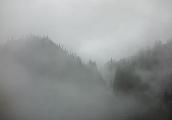 포토 JPG 해외이미지 나무 구름 계절 백그라운드 잎 자연 날씨 산 노르웨이 풍경 경사 사람없음 야외 환경 계곡 어둠 젖음 안개 흰색 소나무 황무지 분위기 숲 수분 언덕 침엽수 흐림 내추럴 뿌연 스칸디나비아 해외포토 자연요소 식물 유럽 컬러 컨셉 생태계 파일형식 이미지허브