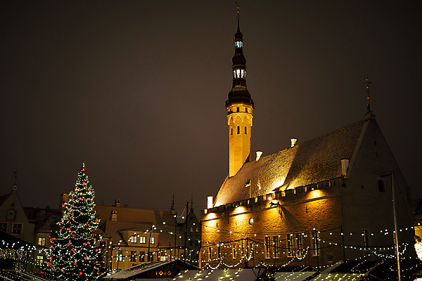 포토 JPG 해외이미지 나무 전통 유럽 백그라운드 크리스마스 겨울 추상 휴가 전등 새해 기념 이벤트 사람없음 장식 초록색 빛 뷰티 크리스마스트리 파티 성당 교회 축제 화환 추위 램프 축하 소나무 신용카드 분위기 시장 야간 오브젝트 정사각형 심플 엽서 쇼 타운 전나무 다이오드 주도 해외포토 자연요소 도형 식물 계절 기념일 꽃 나라 컬러 컨셉 무늬 종교건축 조명 건물 금융 예절 도시 편지 파일형식 이미지허브