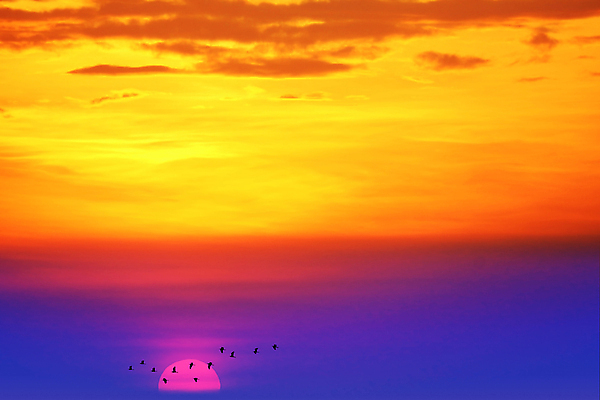 포토 JPG 해외이미지 구름 바다 여행 백그라운드 오렌지 자연 벽지 하늘 낚시 날씨 휴가 불꽃 따뜻함 풍경 사람없음 야외 빨간색 여름 파란색 빛 컬러풀 햇빛 태양 반사 우주 일출 맑음 일몰 봄 수확 가을 흰색 뜨거움 황금 명상 내추럴 넘어짐 수평선 해외포토 자연요소 계절 컬러 농업 과일 모션 불 레저 노을 생태계 파일형식 이미지허브