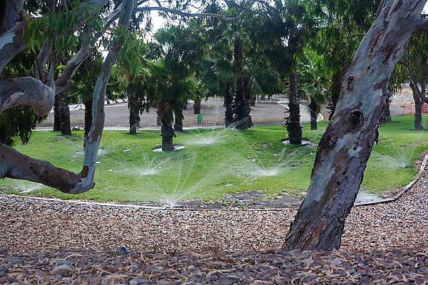 포토 JPG 해외이미지 나무 식물 공원 유럽 섬 아프리카 자연 하늘 건조 풍경 사람없음 야외 초록색 물 여름 정원 봄 스페인 숲 내추럴 스프링쿨러 해외포토 자연요소 계절 공공시설 나라 컬러 생태계 파일형식 이미지허브
