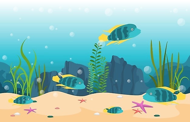 EPS 해외이미지 식물 동물 디자인 모래 파도 바다 백그라운드 컨셉 일러스트 자연 불가사리 항해 어류 미술 취미 내부 장식 물 반려동물 컬러풀 환경 상점 수중 수영 거품 바위 해조류 산호 작음 수집 다이빙 탱크 암초 수족관 동물상 민물 이국적 해외일러스트 자연요소 컬러 배_교통 문화예술 극피동물 조형물 수중동물 돌_바위 수상스포츠 해양식물 자포동물 크기 생태계 수중스포츠 파일형식 벡터 이미지허브
