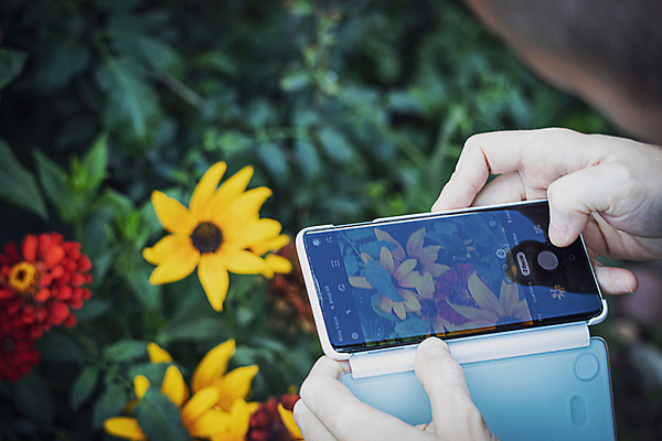 포토 JPG 해외이미지 식물 라이프스타일 손 공원 남자 꽃 컨셉 자연 관리 사람 취미 사람없음 야외 초록색 스마트폰 컬러풀 노란색 정원 사진촬영 전화기 8월 7월 내추럴 셀룰러 해외포토 공공시설 컬러 생활 신체부위 핸드폰 스마트기기 촬영 날짜 생태계 파일형식 이미지허브