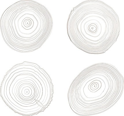 EPS 해외이미지 나무 디자인 선 조각 패턴 일러스트 자연 미래 목재 나뭇가지 반지 숲 낟알 장작 자르기 묘사 질감 엘리먼트 해외일러스트 식물 컨셉 무늬 재료 장신구 모션 생태계 파일형식 벡터 이미지허브