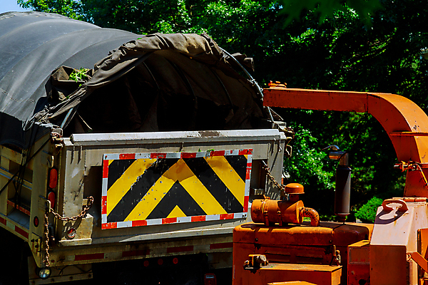 포토 JPG 해외이미지 나무 산업 포즈 잎 농업 사람없음 목재 초록색 기계 재활용 장비 나뭇가지 도시 업무 불기 자르기 청소 서비스 원예 조경 그라인더 짐차 손질 삭제 다듬기 로딩 무생채 수유 해외포토 식물 컬러 재료 모션 자동차 취미 작업 친환경 커피용품 파일형식 이미지허브