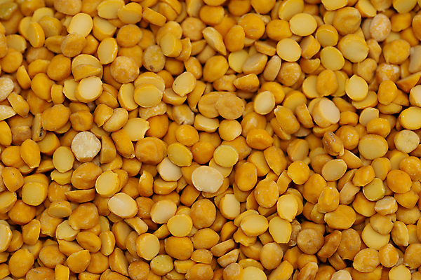 포토 JPG 해외이미지 식물 전통 음식 백그라운드 농업 다이어트 재료 자연 콩 건조 건강 요리 씨앗 동양인 사람없음 농장 노란색 신선 맥박 낟알 인도인 허브 유기농 완두콩 날것 섬유 성분 다리찢기 내추럴 단백질 병아리콩 생식 채식주의자 파키스탄 해외포토 외국인 웰빙 산업 아시아 컬러 의학 모션 곡류 인종 직물 생태계 채식 영양소 파일형식 이미지허브