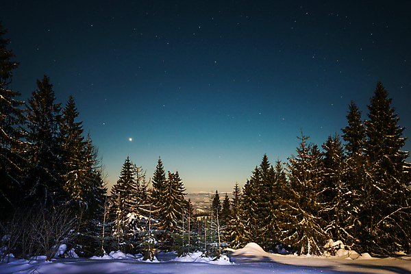 포토 JPG 해외이미지 나무 별 겨울 밤하늘 사람없음 야외 눈 분위기 야간 감성 몽환 겨울풍경 해외포토 자연요소 식물 계절 컨셉 하늘 날씨 풍경 파일형식 이미지허브