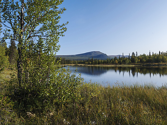 포토 JPG 해외이미지 나무 꽃 호수 분홍색 여행 백그라운드 오렌지 자국 자연 하늘 아침 산 스웨덴 풍경 사람없음 야외 초록색 물 여름 빛 컬러풀 햇빛 태양 반사 일출 환경 새벽 하이킹 안개 가을 시간 황금 숲 언덕 북쪽 자작나무 내추럴 해외포토 주간 자연요소 식물 계절 컬러 과일 레저 날씨 북유럽 노을 방향 생태계 파일형식 이미지허브