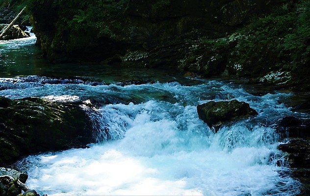 포토 JPG 해외이미지 나무 공원 유럽 여행 모션 자연 산 풍경 사람없음 야외 초록색 물 여름 강 환경 골짜기 어둠 폭포 흐름 바위 신선 개울 황무지 숲 속도 알프스 자연백그라운드 장면 장노출 내추럴 슬로베니아 해외포토 자연요소 식물 계절 공공시설 나라 컬러 백그라운드 컨셉 촬영기법 돌_바위 생태계 파일형식 이미지허브