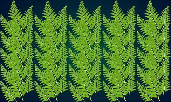 EPS 해외이미지 나무 식물 전통 디자인 계절 꽃 꽃다발 백그라운드 잎 크리스마스 패턴 일러스트 부분 자연 벽지 추상 수채화 미술 그래픽 장식 초록색 여름 컬러풀 유행 디지털 정원 봄 수확 나뭇가지 직물 신선 그리기 개화 숲 인쇄 만화 질감 복고 내추럴 스타일 해외일러스트 기념일 컬러 무늬 농업 모션 문화예술 생태계 파일형식 벡터 이미지허브