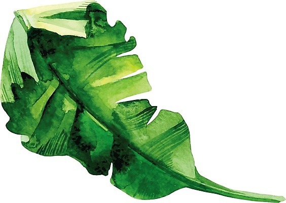 EPS 해외이미지 식물 잎 일러스트 붓터치 수채화 사람없음 그림 번짐 해외일러스트 파일형식 벡터 효과 이미지허브