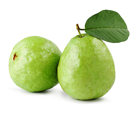 포토 JPG 해외이미지 음식 조각 백그라운드 잎 농업 다이어트 채소 과일 태국 자연 디저트 건강 씨앗 사람없음 초록색 주스 흰색 신선 닫기 달콤 맛 자르기 먹기 오브젝트 흰배경 유기농 날것 내추럴 고립 숙성 이국적 비건 해외포토 식물 웰빙 산업 아시아 음료 컬러 컨셉 모션 생태계 채식주의자 파일형식 이미지허브