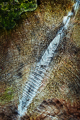 포토 JPG 해외이미지 나무 식물 백그라운드 패턴 부분 자연 표면 날씨 추상 이끼 사람없음 목재 초록색 갈색 어둠 성장 숲 자르기 묘사 질감 통나무 나무껍질 내추럴 종료 그런지 수목 썩음 옛날 해외포토 컬러 무늬 재료 모션 껍질 생태계 파일형식 이미지허브