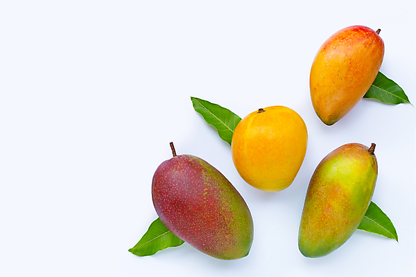 포토 JPG 해외이미지 잎 실내 사람없음 여러개 열대과일 흰배경 망고 카피스페이스 애플망고 해외포토 식물 다수 백그라운드 과일 내부 공백 흰색 파일형식 이미지허브