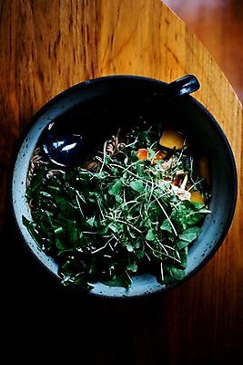 포토 JPG 해외이미지 전통 접시 아시아 음식 백그라운드 젓가락 탁자 양파 따뜻함 육류 돼지고기 요리 동양인 사람없음 초록색 계란 일본 식사 저녁식사 치킨 중국 당근 면 돼지 뜨거움 사발 맛 수프 수증기 레몬 홋카이도 국수 생강 점심식사 쪽파 일본음식 해외포토 식기 나라 컬러 가구 컨셉 채소 과일 식재료 포유류 뿌리채소 수저 인종 알 면류 사기그릇 파 닭고기요리 파일형식 이미지허브