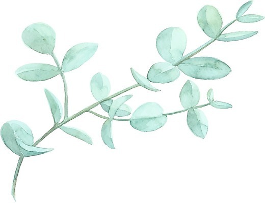 EPS 해외이미지 식물 잎 일러스트 붓터치 수채화 사람없음 그림 번짐 해외일러스트 파일형식 벡터 효과 이미지허브