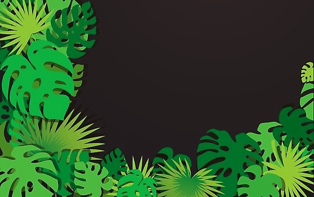 EPS 해외이미지 나무 식물 템플릿 디자인 배너 꽃 결혼 백그라운드 잎 꽃무늬 패턴 일러스트 비즈니스 자연 추상 휴가 프레임 손바닥 미술 그래픽 장식 초록색 세트 정원 봄 수확 인사 신용카드 숲 인쇄 그림 정사각형 하와이 초대 내추럴 고립 이국적 스타일 해외일러스트 도형 손 계절 컬러 무늬 농업 문화예술 이벤트 금융 미국 예절 생태계 파일형식 벡터 이미지허브