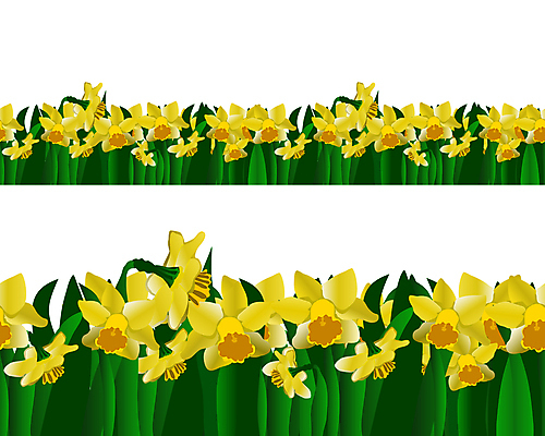 포토 JPG 해외이미지 식물 템플릿 디자인 배너 계절 꽃잎 꽃 줄기 꽃다발 백그라운드 잎 꽃무늬 일러스트 자연 부활절 미술 사람없음 장식 초록색 노란색 정원 봄 벚꽃 흰색 신용카드 개화 우아함 수선화 내추럴 고립 포장소품 해외포토 기념일 컬러 컨셉 무늬 포장 문화예술 금융 오브젝트 생태계 포장재료 파일형식 이미지허브