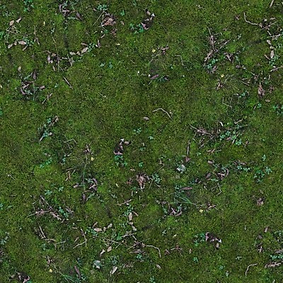 포토 JPG 해외이미지 나무 식물 디자인 공원 지구 벽 백그라운드 잎 패턴 자연 표면 추상 건조 이끼 풍경 사람없음 초록색 물 여름 환경 봄 성장 신선 오픈 거친 닫기 숲 수분 묘사 질감 내추럴 곰팡이 옛날 많음 해외포토 자연요소 계절 공공시설 컬러 컨셉 무늬 모션 생태계 파일형식 이미지허브