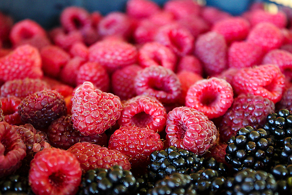 포토 JPG 해외이미지 계절 열매 음식 분홍색 백그라운드 패턴 과일 자연 벽지 건강 사람없음 빨간색 농장 검은색 수확 신선 그룹 시장 닫기 달콤 맛 유기농 질감 산딸기 블랙베리 내추럴 보스니아 숙성 영양분 채식주의자 해외포토 식물 웰빙 컬러 컨셉 무늬 농업 모션 생태계 채식 파일형식 이미지허브